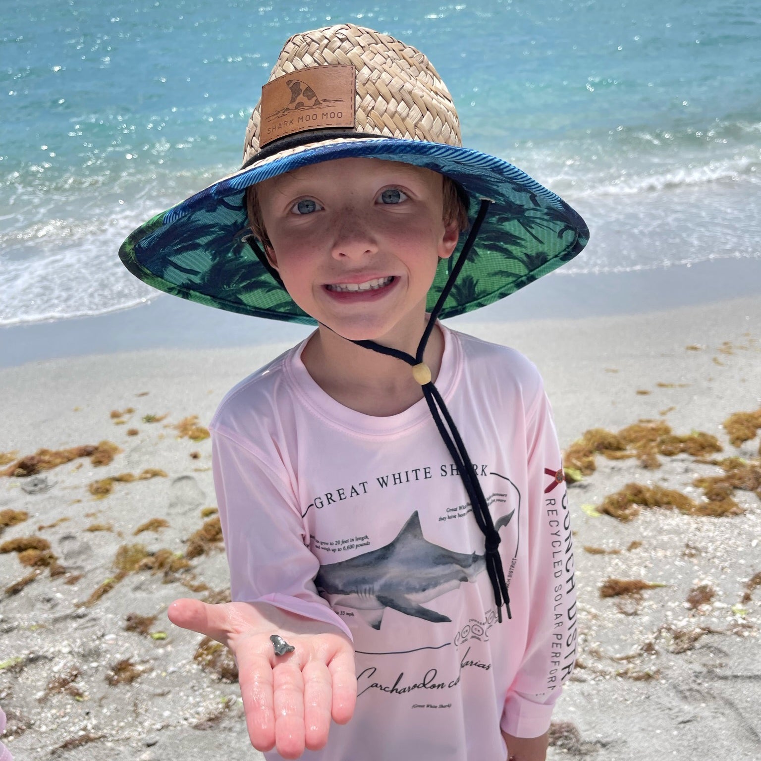 Conservation Status Collection