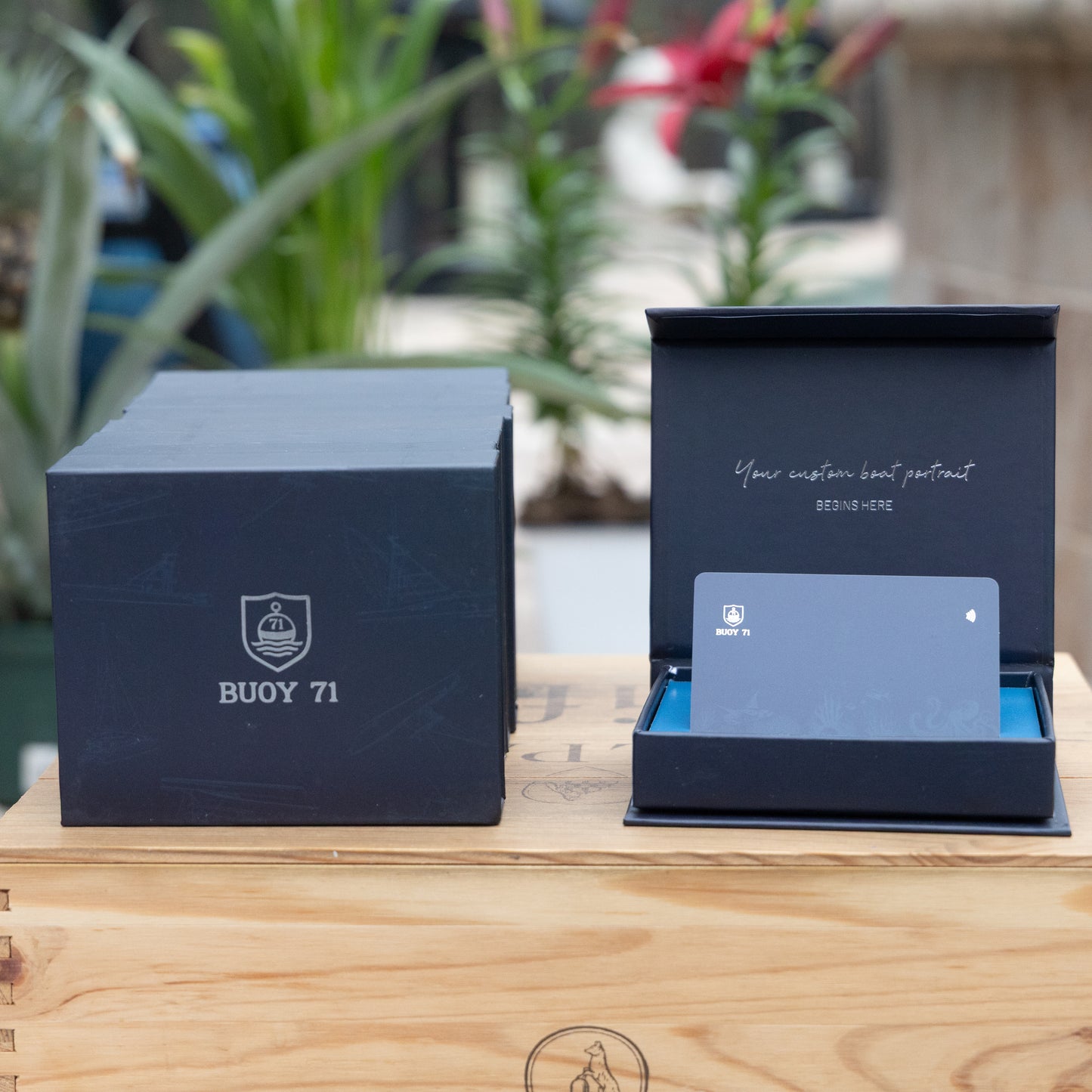Buoy 71 Dealer Card Packs