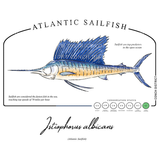 Atlantic Sailfish Conservation Status UPF 50+ Sun Protection Shirt Toddler & Youth