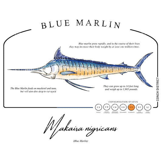 Blue Marlin Conservation Status UPF 50+ Sun Protection Shirt Toddler & Youth