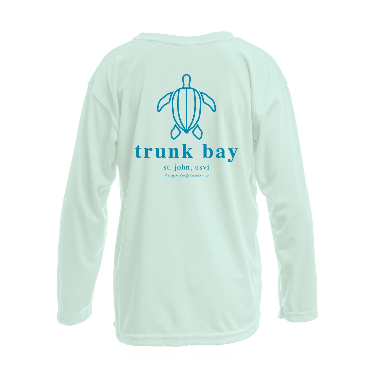 Trunk Bay St John Leatherback Sea Turtle | Recycled Solar Performance