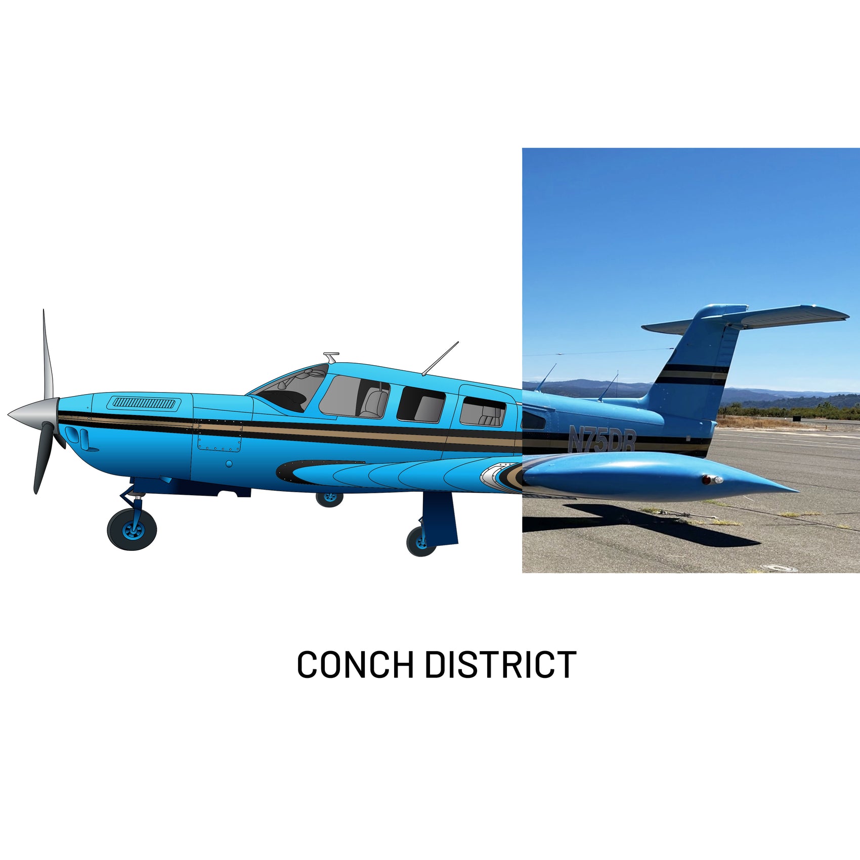 Custom Airplane Drawing | Digital Download