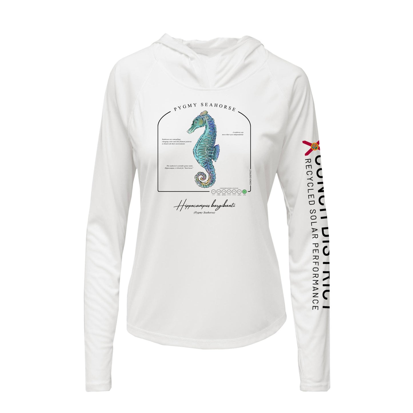 Pygmy Seahorse Conservation Status Hoodie | Womens Recycled Solar Performance