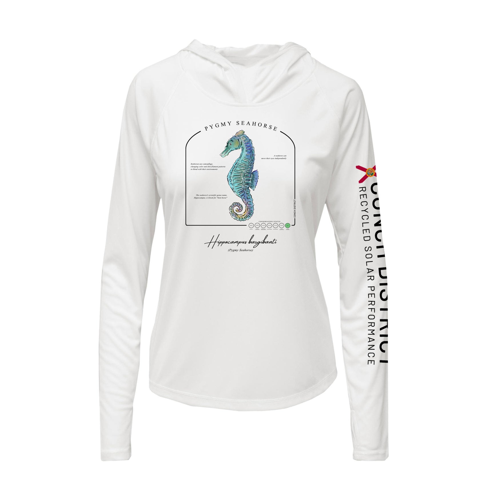 Pygmy Seahorse Conservation Status Hoodie | Womens Recycled Solar Performance