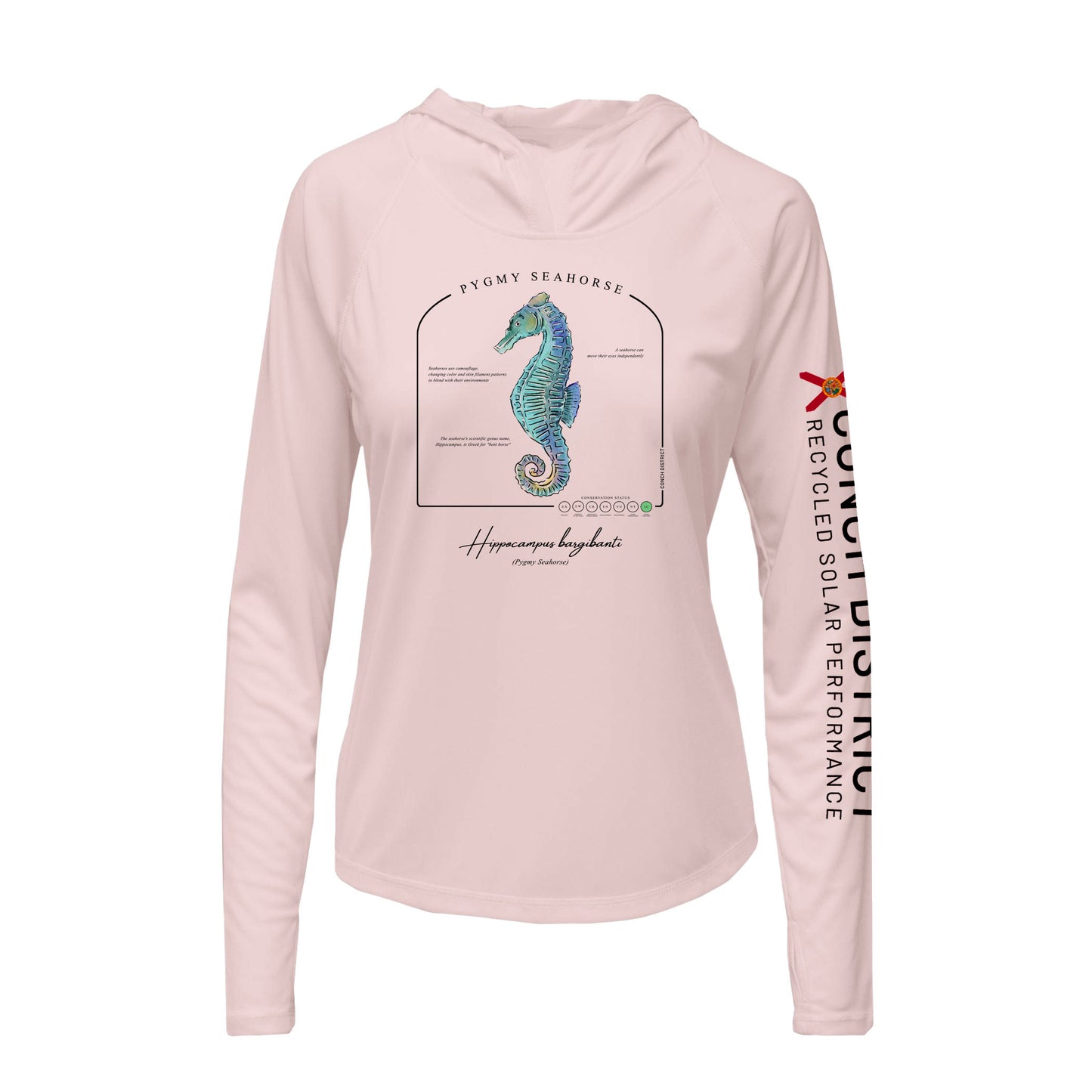Pygmy Seahorse Conservation Status Hoodie | Womens Recycled Solar Performance